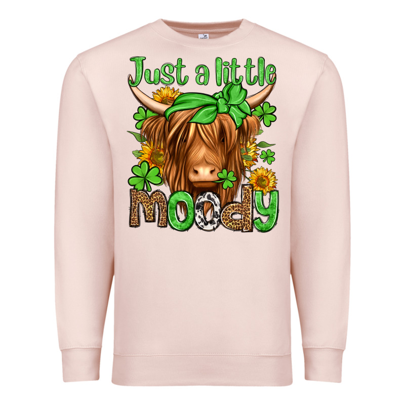 Just A Little Moody St Patricks Day Premium Sweatshirt by Jasminsmagicworld | Teevron