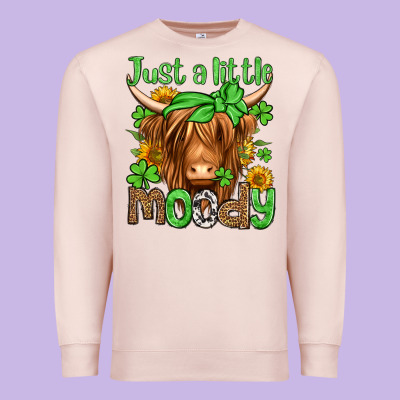 Just A Little Moody St Patricks Day Premium Sweatshirt Designed By Jasminsmagicworld
