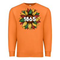 Carrot juneteenth 1865 sunflower Premium Sweatshirt - Artiststas