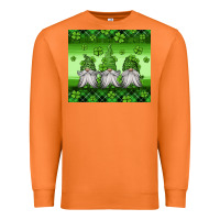 Carrot st patricks gnomes Premium Sweatshirt - Jasminsmagicworld