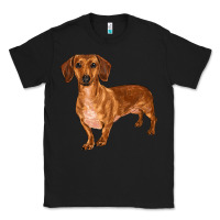 Black dachshund Classic Tee - RanaPortraitStore