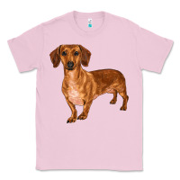 Bubblegum Pink dachshund Classic Tee - RanaPortraitStore