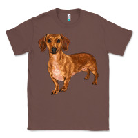 Chestnut dachshund Classic Tee - RanaPortraitStore