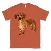 Copper dachshund Classic Tee - RanaPortraitStore