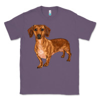 Lavender dachshund Classic Tee - RanaPortraitStore