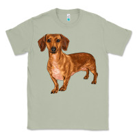 Matcha dachshund Classic Tee - RanaPortraitStore