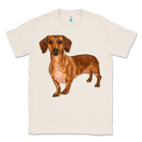 Natural dachshund Classic Tee - RanaPortraitStore
