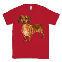 Red dachshund Classic Tee - RanaPortraitStore