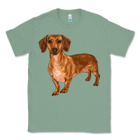 Sage dachshund Classic Tee - RanaPortraitStore