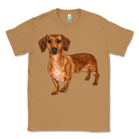 Toasted Coconut dachshund Classic Tee - RanaPortraitStore