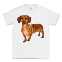 White dachshund Classic Tee - RanaPortraitStore