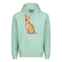 Seafoam chihuahua Premium Hoodie - MaliasSmallBusiness