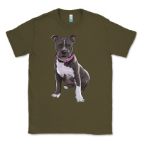 Pitbull Classic Tee | Teevron