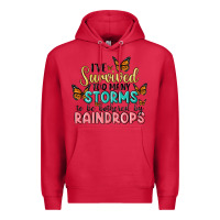 Cardinal i have survived too many storms to be bothered by raindrops malia Premium Hoodie - MaliasSmallBusiness