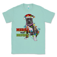 Seafoam merry and bright pitbull Classic Tee - RanaPortraitStore