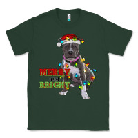 Sports Green merry and bright pitbull Classic Tee - RanaPortraitStore