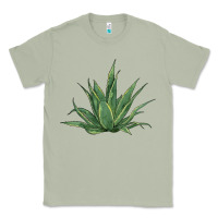 Matcha cactus Classic Tee - BarkalooDesign