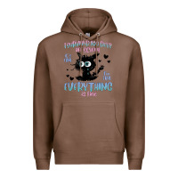 Chestnut i survived 100 days of school cat Premium Hoodie - MaliasSmallBusiness
