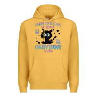I Survived 100 Days Of School Cat Premium Hoodie | Teevron