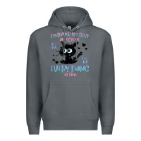 Rock i survived 100 days of school cat Premium Hoodie - MaliasSmallBusiness