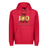 Cardinal i struck out 100 days of school Premium Hoodie - MaliasSmallBusiness