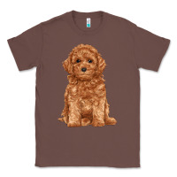 Chestnut toy poodle Classic Tee - RanaPortraitStore