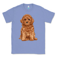 Colony Blue toy poodle Classic Tee - RanaPortraitStore