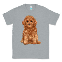 Heather Grey toy poodle Classic Tee - RanaPortraitStore