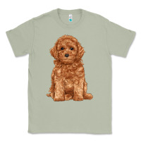 Matcha toy poodle Classic Tee - RanaPortraitStore