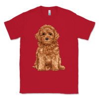 Red toy poodle Classic Tee - RanaPortraitStore