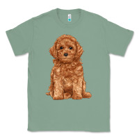 Sage toy poodle Classic Tee - RanaPortraitStore