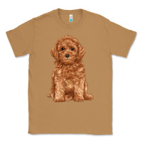 Toasted Coconut toy poodle Classic Tee - RanaPortraitStore