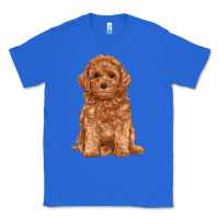 True Royal toy poodle Classic Tee - RanaPortraitStore