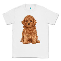 White toy poodle Classic Tee - RanaPortraitStore
