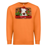 Carrot merry christmas Premium Sweatshirt - JahusDesignShop