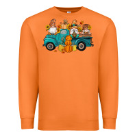 Carrot fall gnomes truck pumpkin sunflowers Premium Sweatshirt - Artiststas