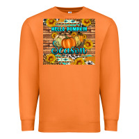 Carrot hello pumpkin season tumbler Premium Sweatshirt - Artiststas