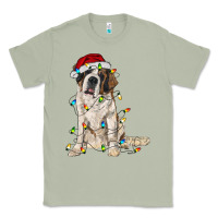 Matcha saint bernard with christmas lights Classic Tee - RanaPortraitStore