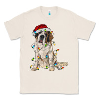 Natural saint bernard with christmas lights Classic Tee - RanaPortraitStore