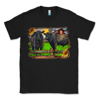 Black black angus cattle and bull in barnyard Classic Tee - RanaPortraitStore