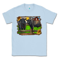 Dusty Blue black angus cattle and bull in barnyard Classic Tee - RanaPortraitStore
