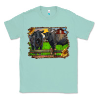 Seafoam black angus cattle and bull in barnyard Classic Tee - RanaPortraitStore