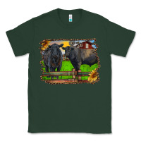 Black Angus Cattle And Bull In Barnyard Classic Tee | Teevron