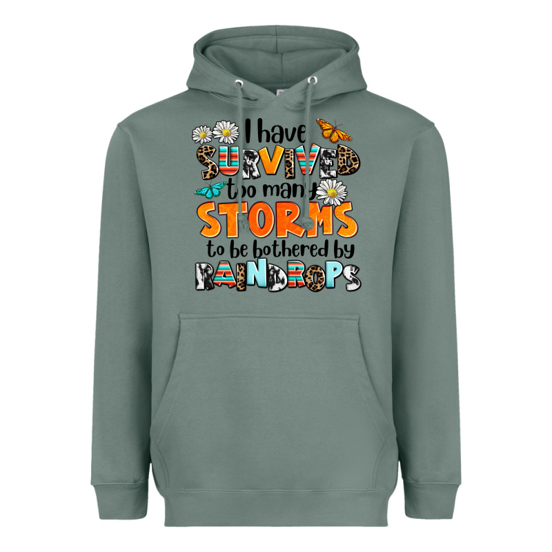 I Have Survived To May Storms To Be Bothered By Ra Heavyweight Hoodie by AdoDesignShop | Teevron