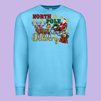 North Pole Delivery Santa Sleigh Premium Sweatshirt Designed By Artiststas