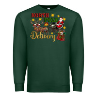 Sports Green North Pole Delivery Santa Sleigh Premium Sweatshirt - Artiststas