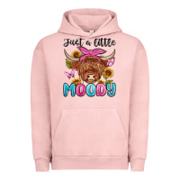 Pigment Salmon just a little moody Urban Hoodie - MaliasSmallBusiness