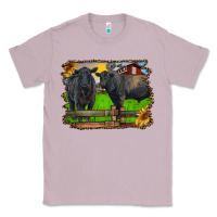 Lilac black angus cattle and bull in barnyard Classic Tee - RanaPortraitStore