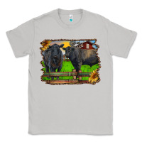 Moon Dust black angus cattle and bull in barnyard Classic Tee - RanaPortraitStore