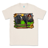 Natural black angus cattle and bull in barnyard Classic Tee - RanaPortraitStore
